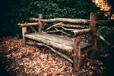 Central Park'a sonbahar