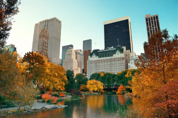 Central Park Autumn — Stock Photo, Image