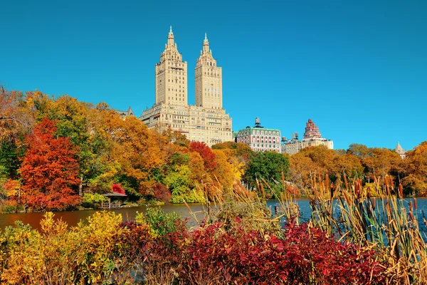 Central Park Autumn — Stock Photo, Image