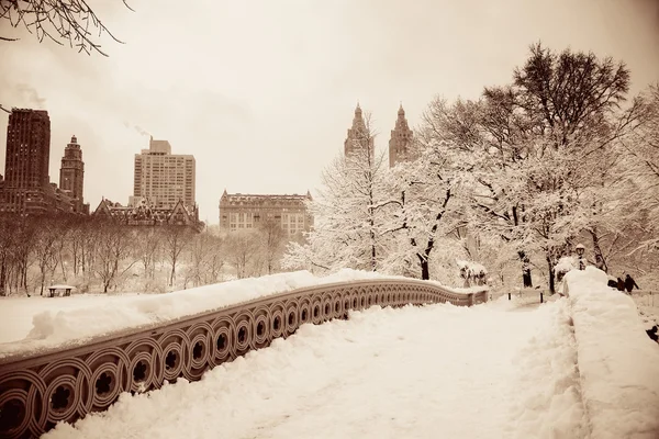 Central Park invierno — Foto de Stock