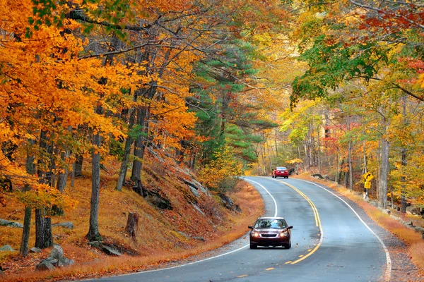 Herbststraße — Stockfoto