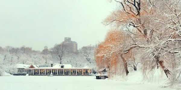 Central park vinter — Stockfoto