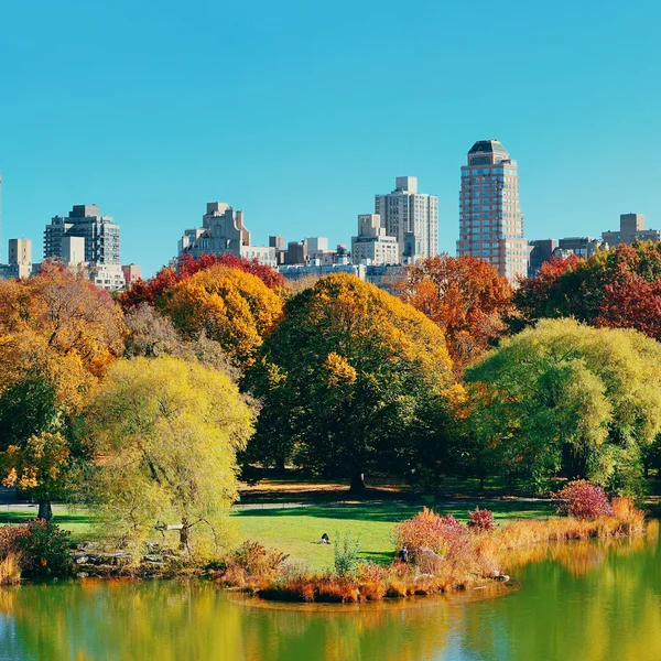 Central Park Otoño — Foto de Stock