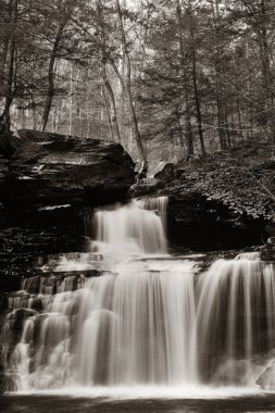 Siyah beyaz şelaleler