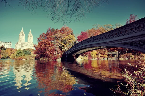 Central Park Autumn — Stock Photo, Image