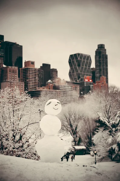 Central Park invierno — Foto de Stock