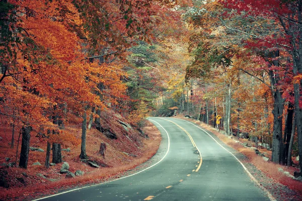 秋の道 — ストック写真
