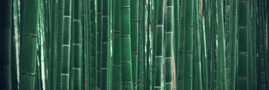 Bambu Grove görünümü