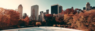 Central Park'a sonbahar