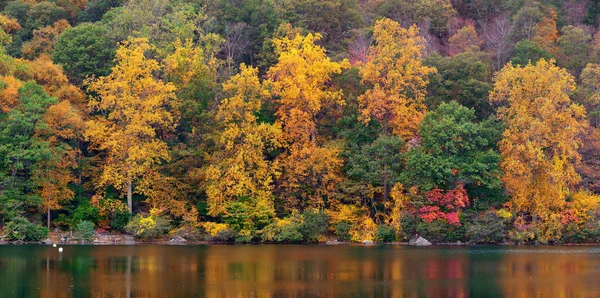Осенний вид на озеро — стоковое фото