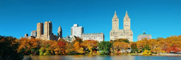 Central park herfst — Stockfoto