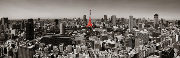 Tokyo Tower and urban skyline rooftops view, Japan.