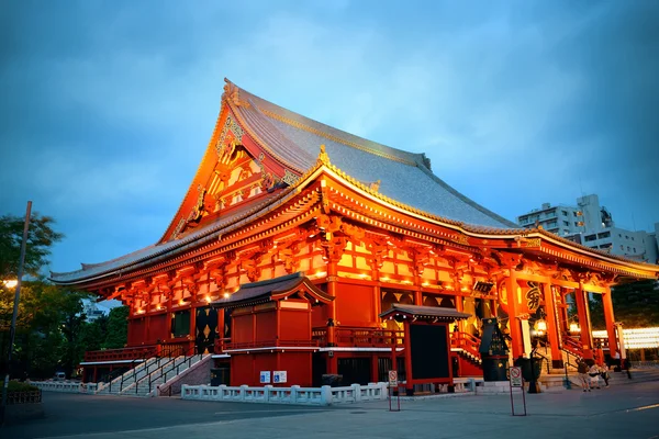 Vista al templo de Tokio — Foto de Stock