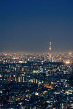 Tokyo şehir manzarası