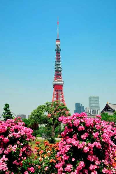 Tokyo Tower view — Stock Photo, Image