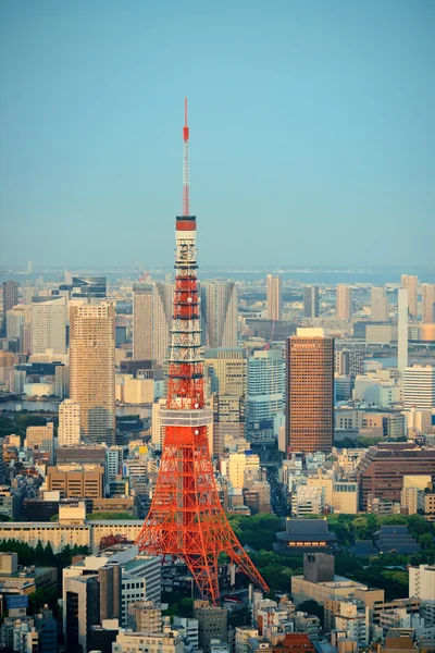 Tokyo Skyline view — Stock Photo, Image