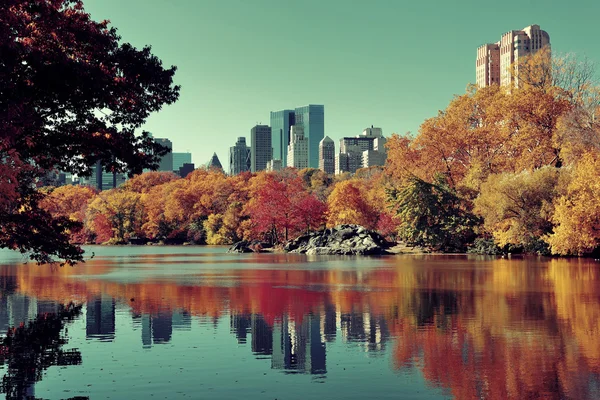 Central park herfst — Stockfoto