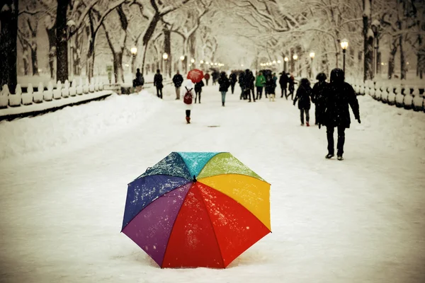 Central Park winter — Stock Photo, Image