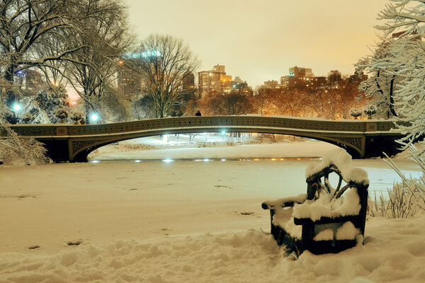 Central Park winter with frozen lake and chair at night in midtown Manhattan New York City