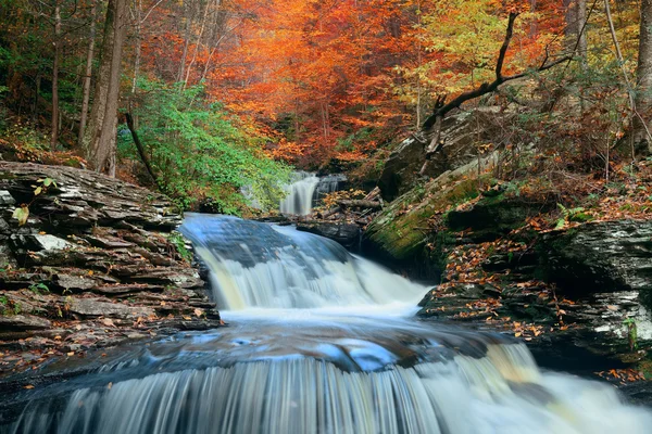 Cascadas de otoño en el parque — Foto de Stock