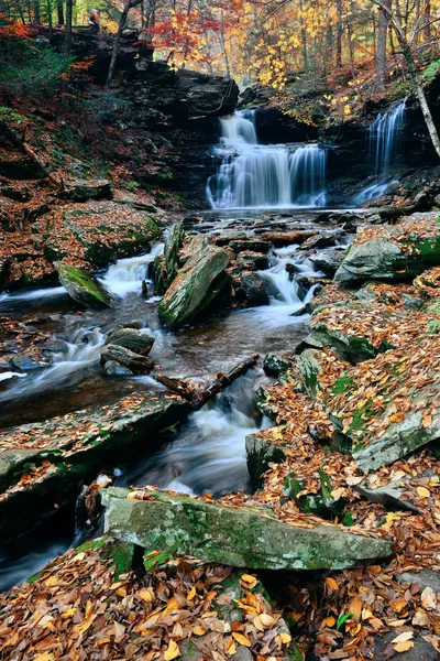 Höstens vattenfall i park — Stockfoto