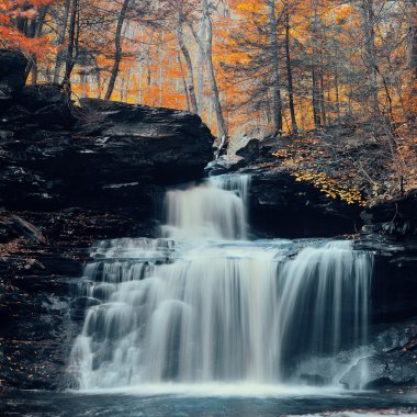 Park sonbahar şelaleler