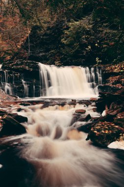 Park sonbahar şelaleler