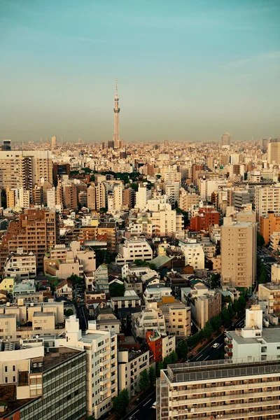 Tokio vista urbana —  Fotos de Stock