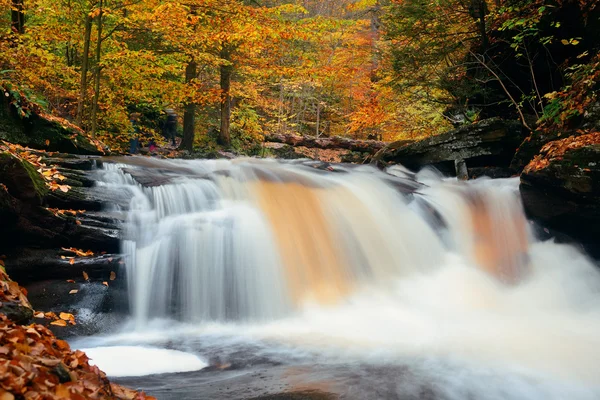 Autumn waterfalls in park — Stock Photo, Image