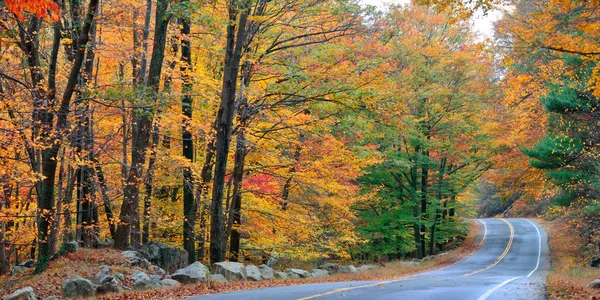 Autumn colorful foliage — Stock Photo, Image