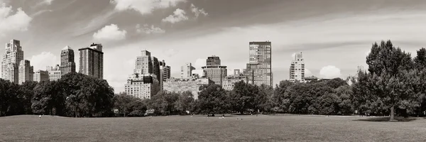 Parque central primavera — Fotografia de Stock