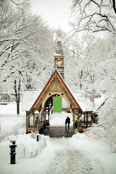 Central park vinter — Stockfoto