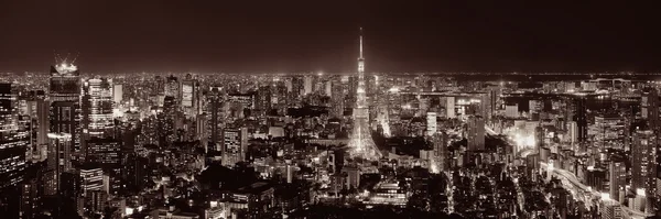 Tokyo panorama pohled — Stock fotografie