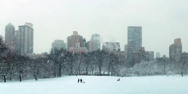 Central Park winter — Stockfoto