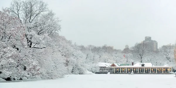 Central Park invierno —  Fotos de Stock