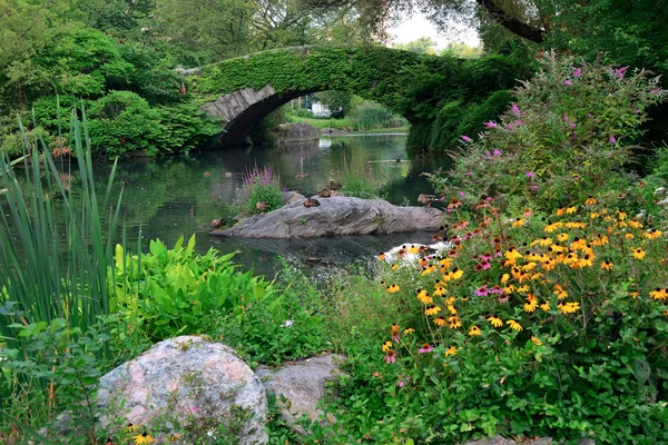 Zentralparkquelle — Stockfoto