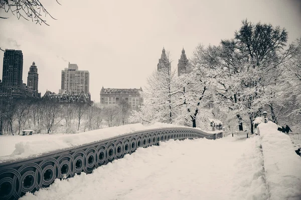 Zentralpark-Winter — Stockfoto