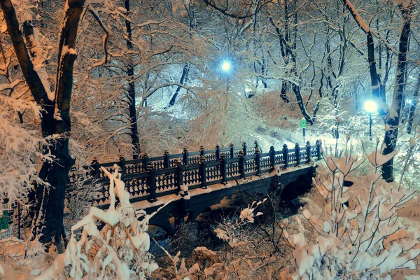 Central park vinter — Stockfoto