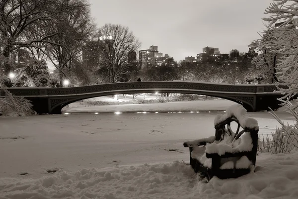 Central Park'a kış — Stok fotoğraf
