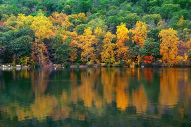 Dağ Göl Manzaralı