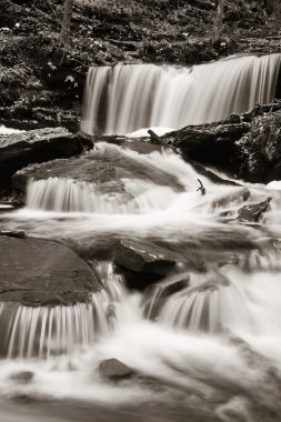 Siyah beyaz şelaleler