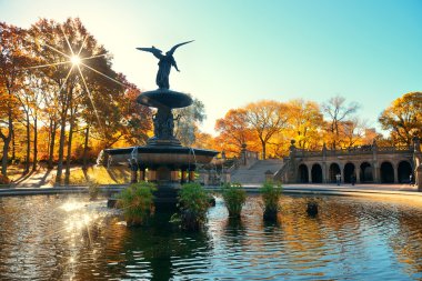 Central Park'a sonbahar