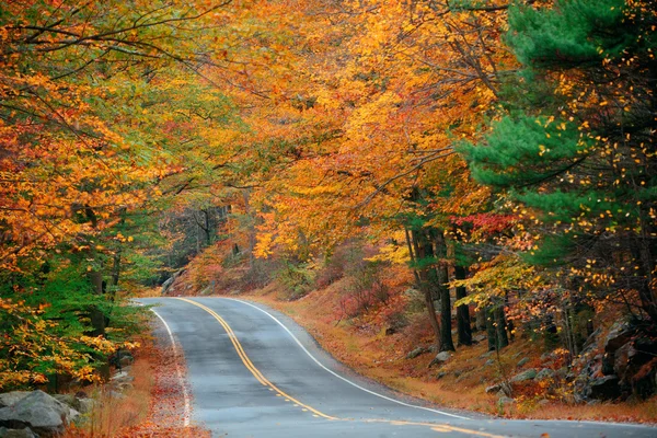 Herfst weg weergave — Stockfoto