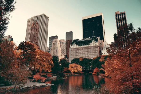 Central Park Otoño — Foto de Stock
