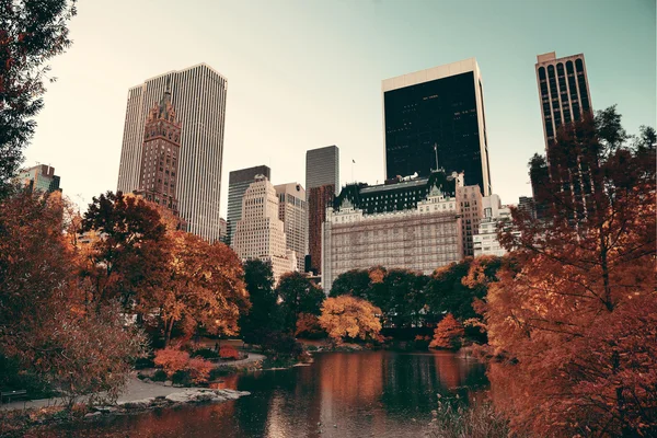 Parque central outono — Fotografia de Stock