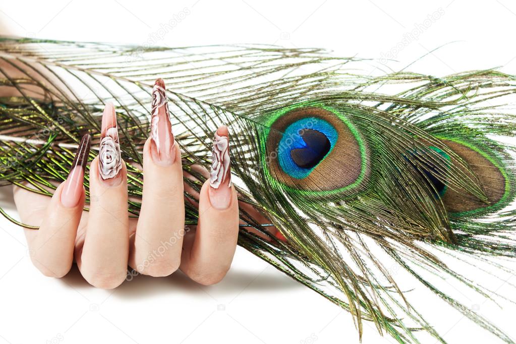 Hand of the girl with a peacock feather