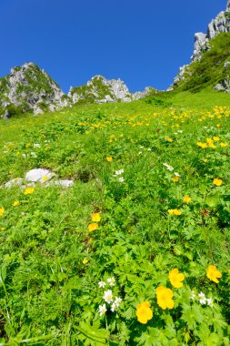 senjojiki cirque nagano içinde mount kisokoma Japonya