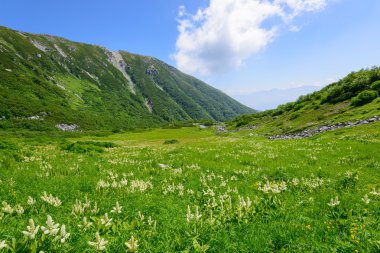 senjojiki cirque nagano içinde mount kisokoma Japonya