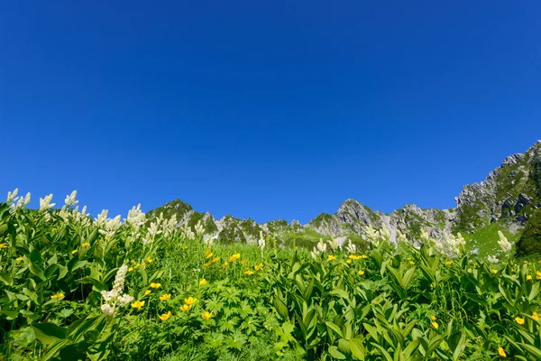 Senjojiki cirque na hoře kisokoma v nagano, Japonsko — Stock fotografie