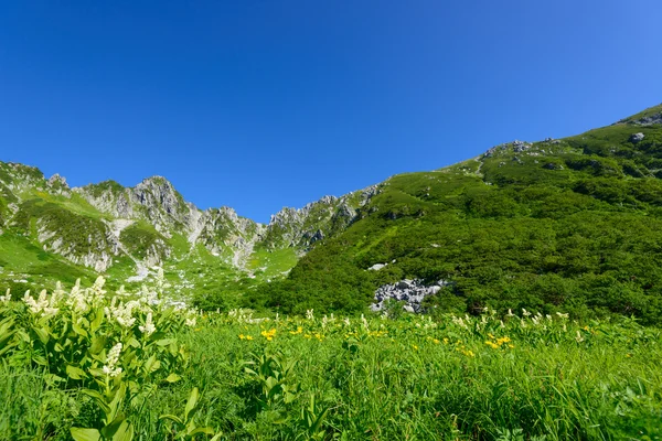 Senjojiki cirque op de berg kisokoma in nagano, japan — Stockfoto